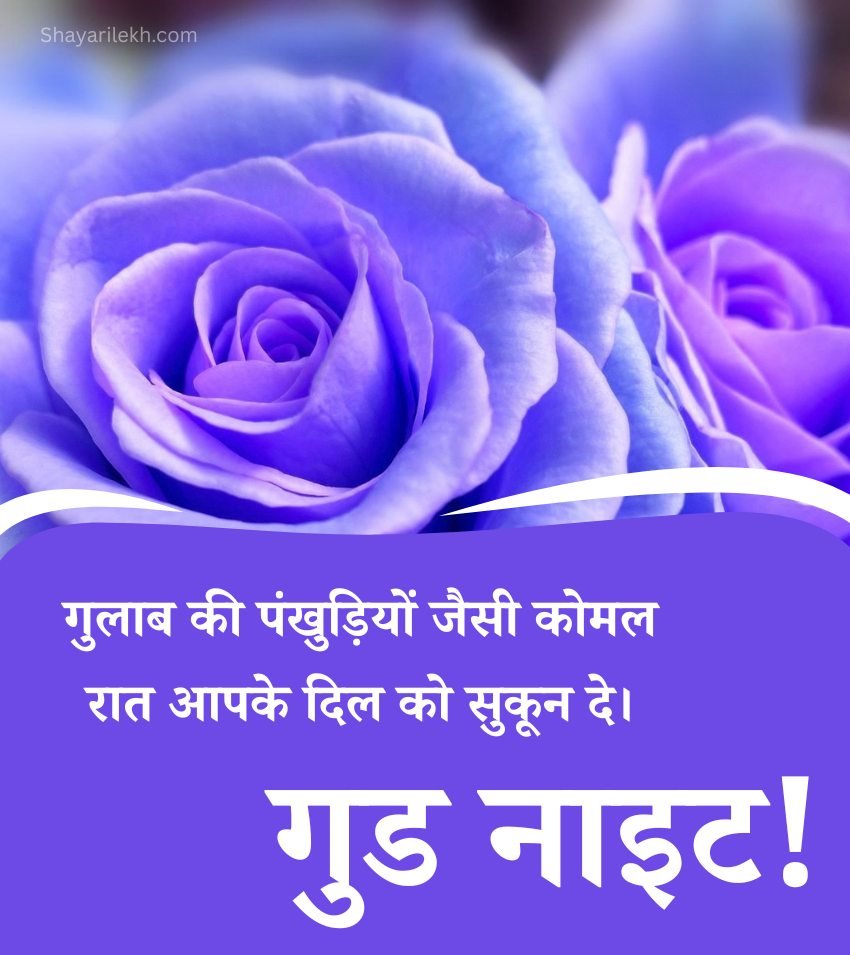 Good Night Gulab Shayari With Images