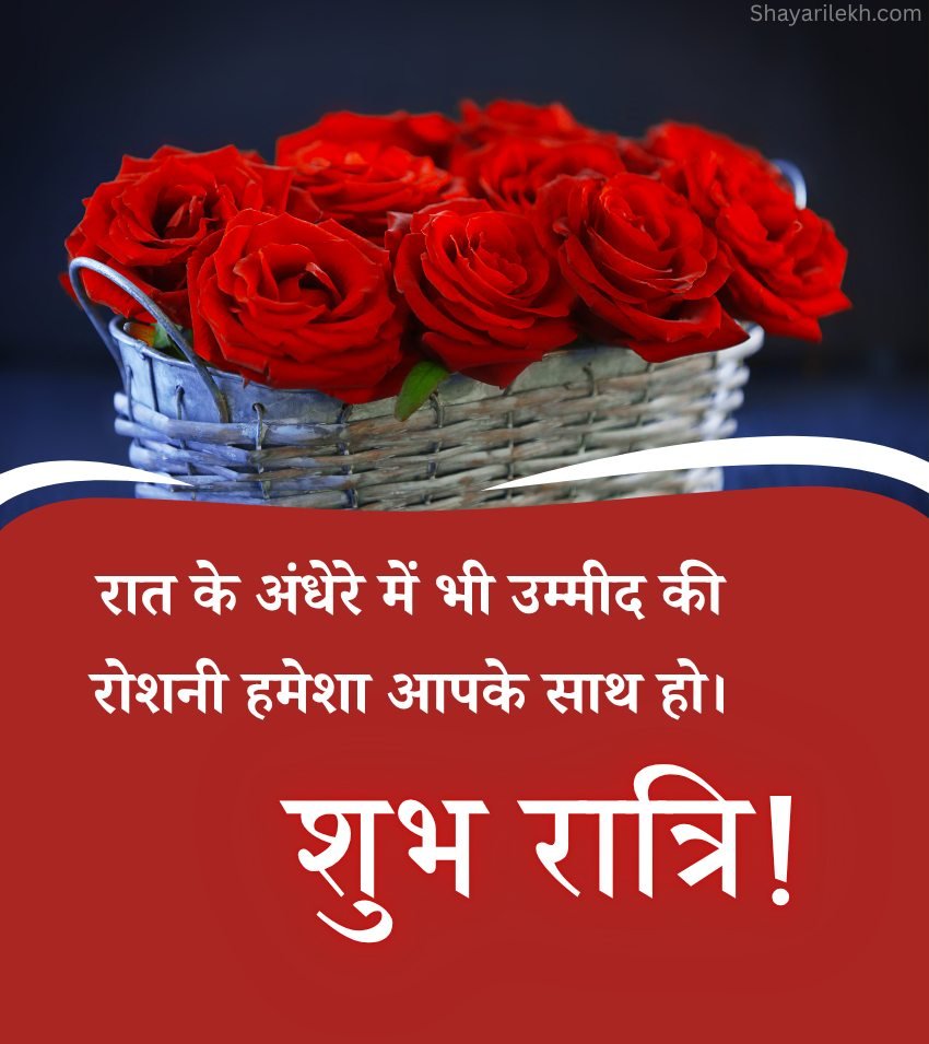 Beautiful Good Night Rose Wishes Hindi
