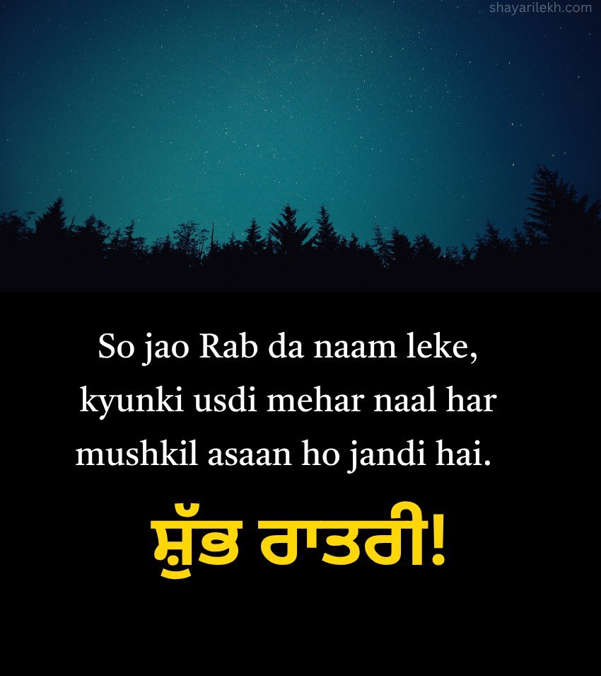 Heart Touching Punjabi Good Night Quotes Pics