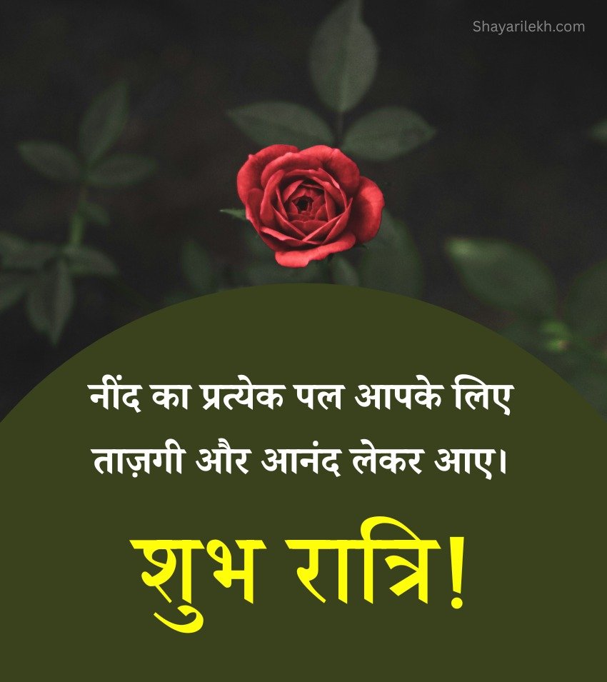 Good Night Rose Wishes in Hindi