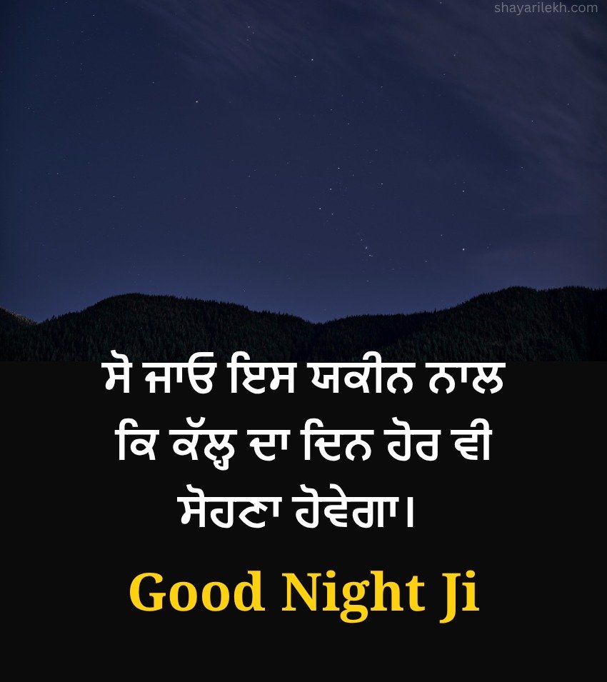 Top Punjabi Good Night Quotes for Status