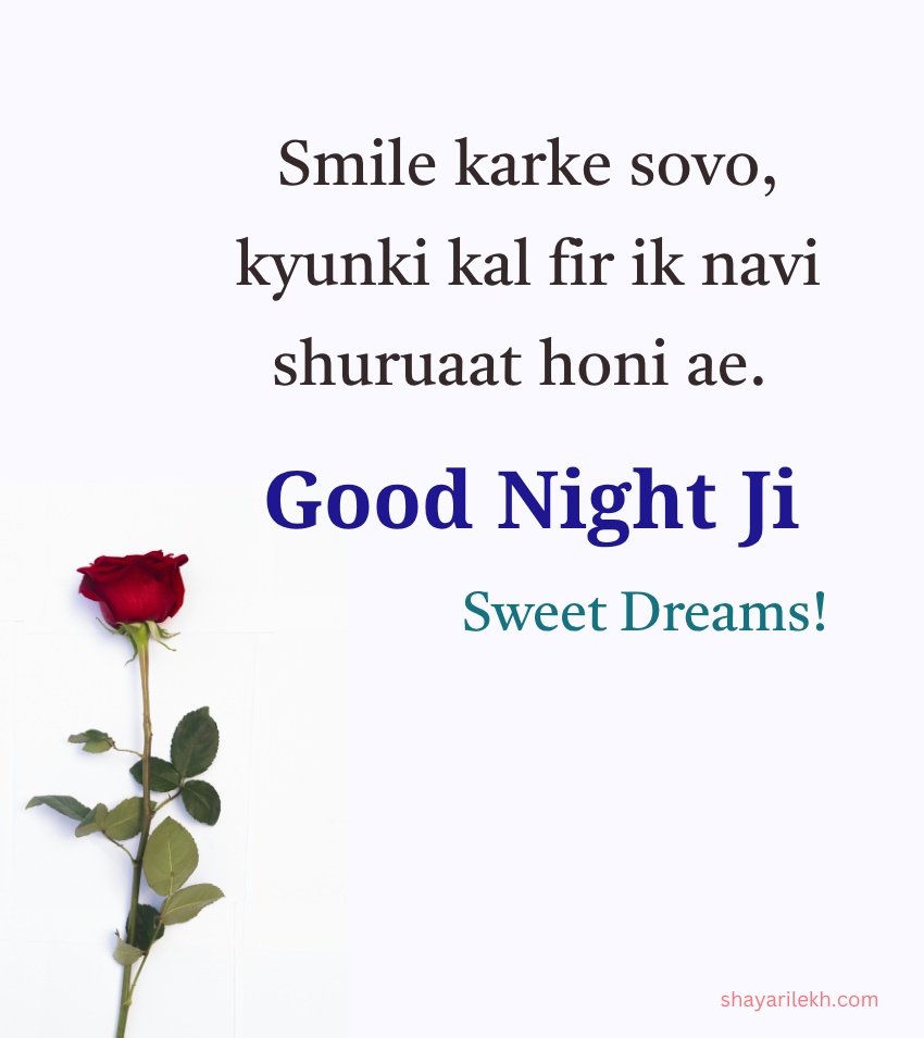 Cute Punjabi Good Night Love SMS
