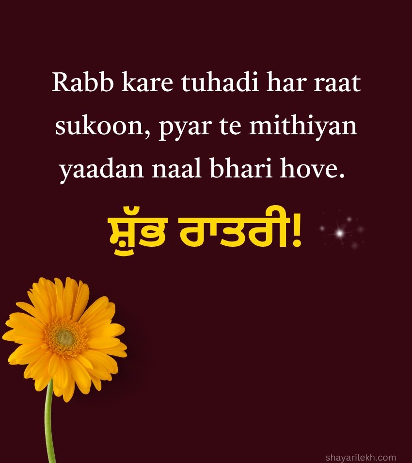 Punjabi Good Night Status