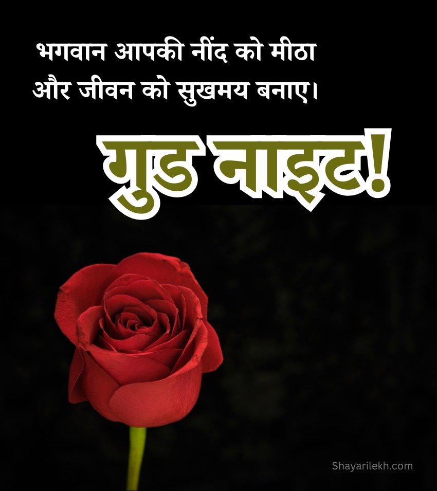 Beautiful Good Night Roses With Shubh Ratri