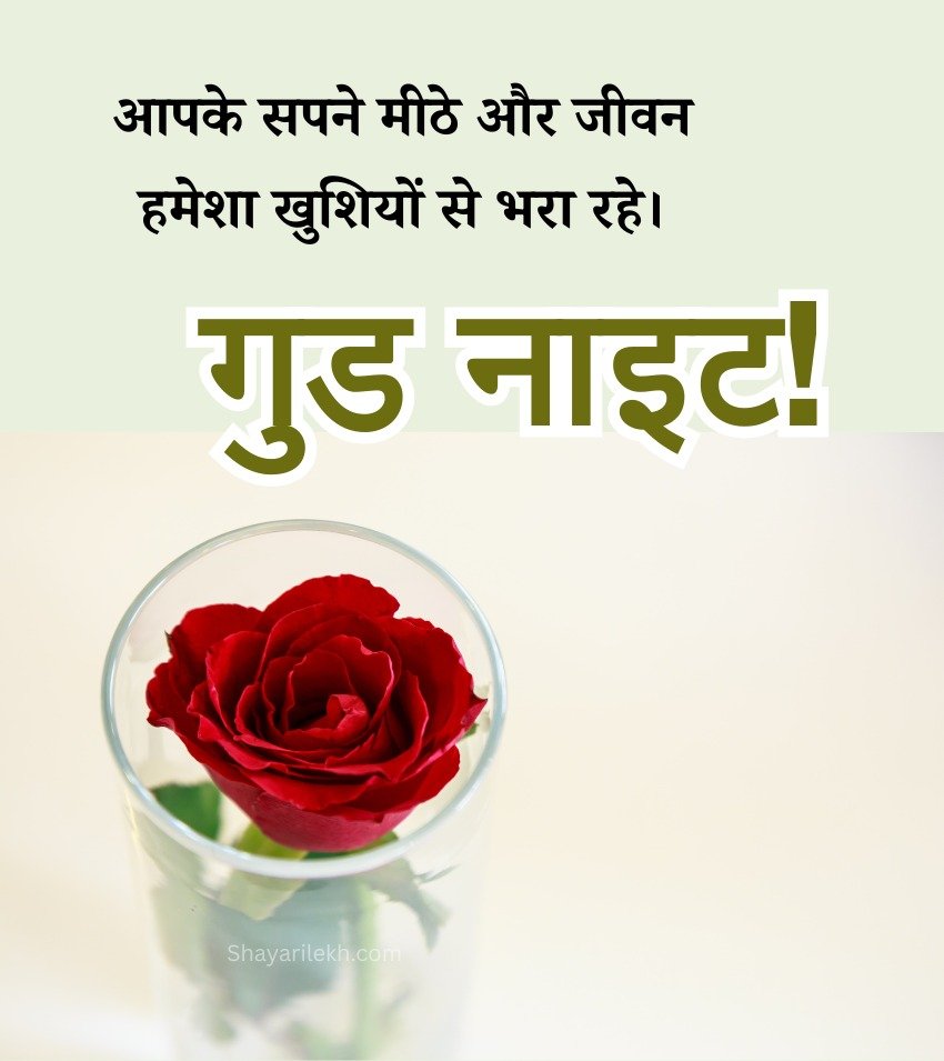 Latest Romantic Shubh Ratri Rose Photos