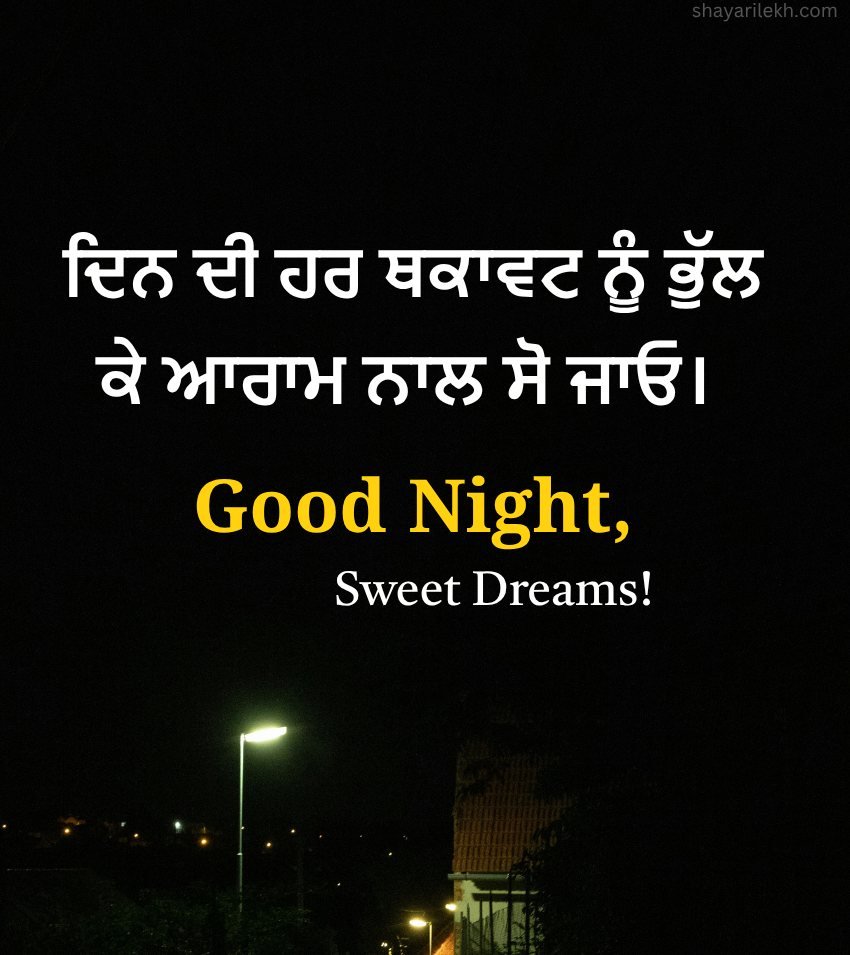 Punjabi Good Night Status With Night Background