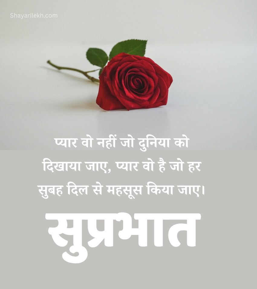 Good Morning Images in Hindi with Rose