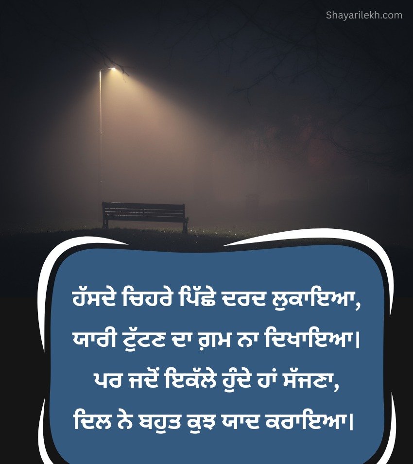 Instagram Caption Punjabi Dosti Shayari