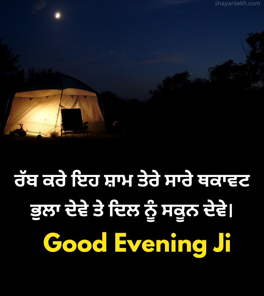 2 Lines Good Evening Status in Punjabi