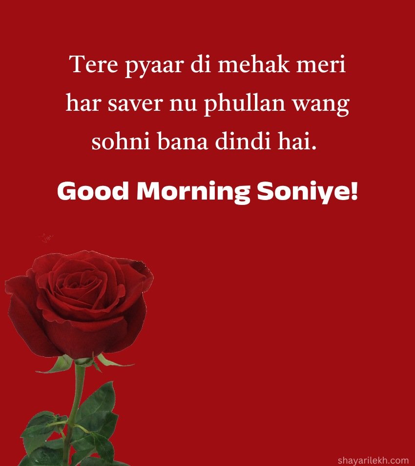Love Good Morning Punjabi Status For Facebook