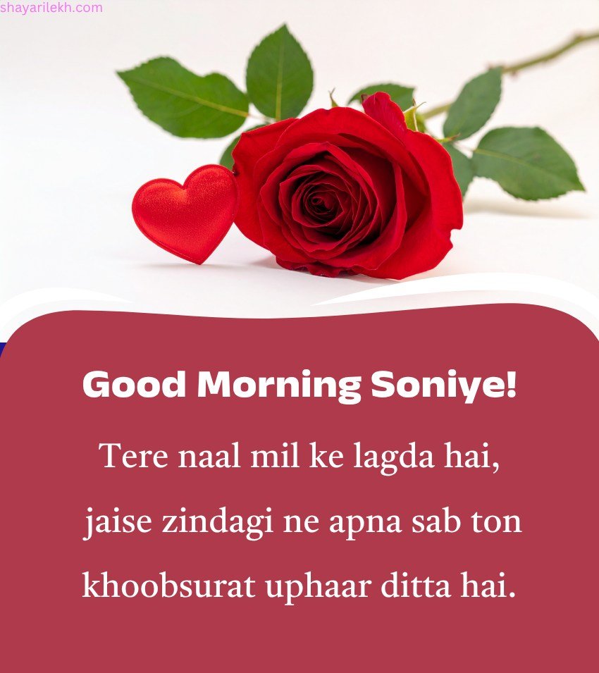 Punjabi Romantic Flowers Morning Images
