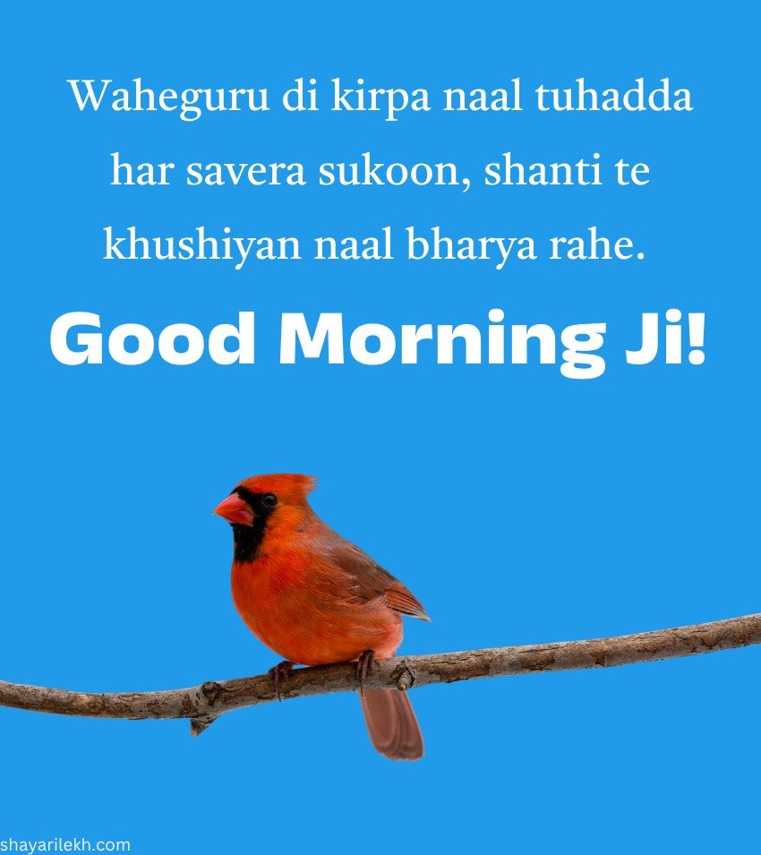 Good Morning Quotes In Punjabi