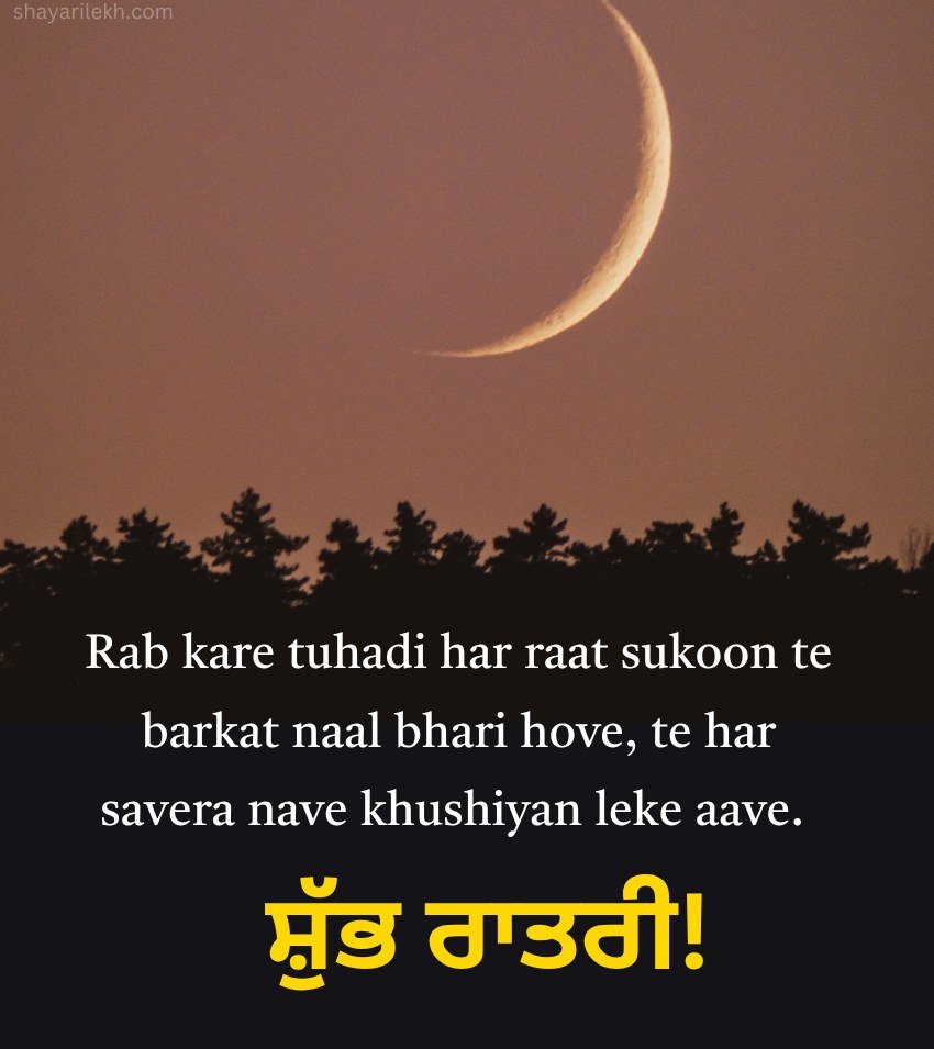 Punjabi Good Night Picture For Girl