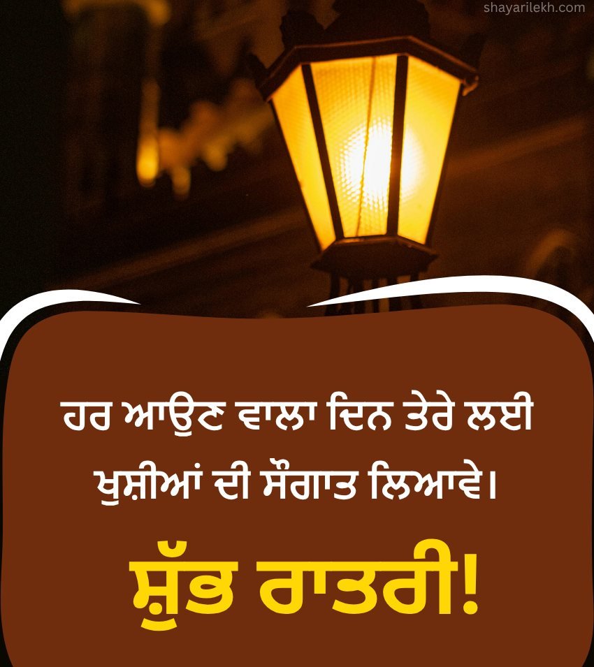 Latest Punjabi Good Night Status for Love