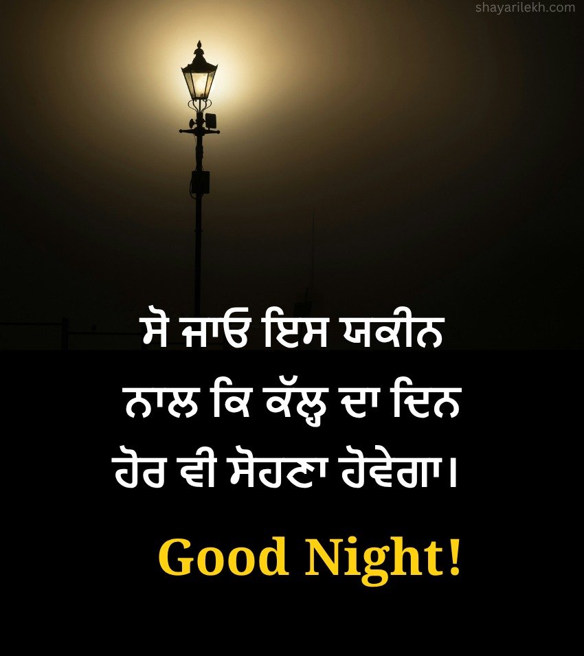 Punjabi Good Night Captions For Facebook