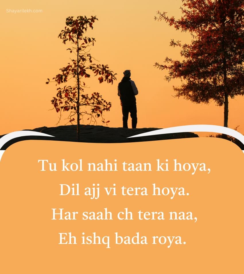 Punjabi Emotional Shayari for Sad Lover