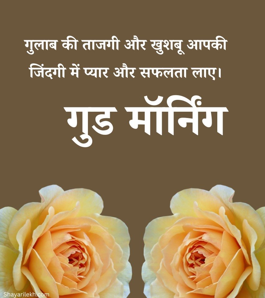 Best Hindi Rose Flower Morning Greetings