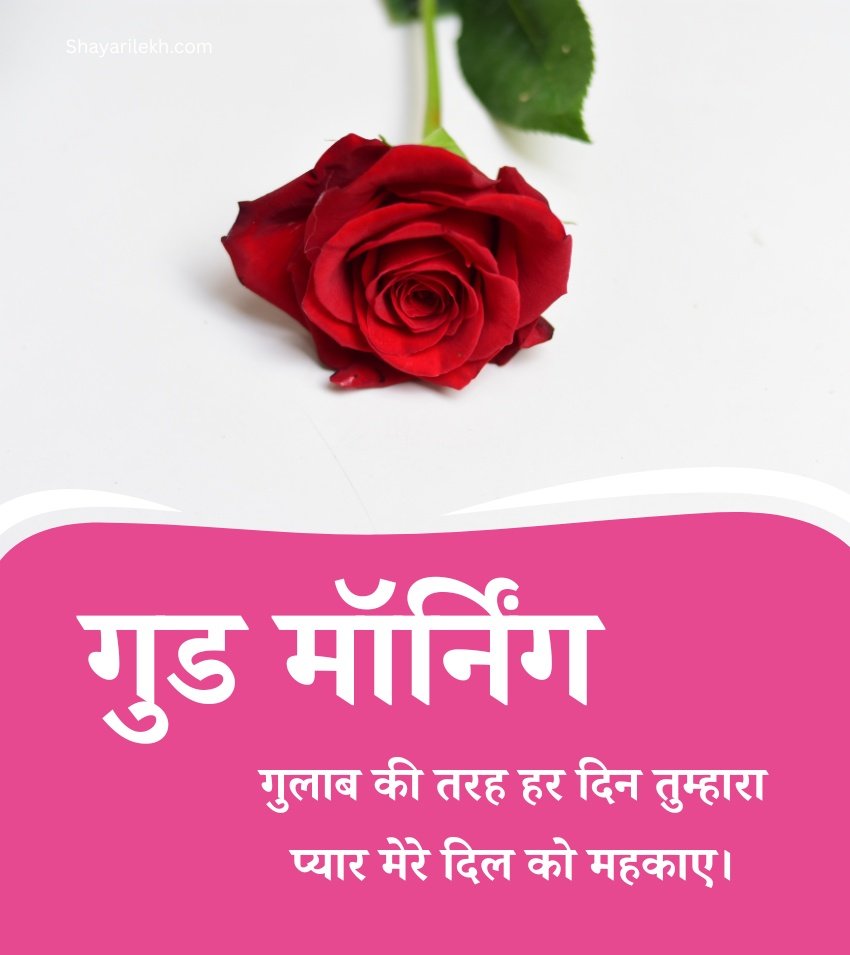 Good Morning Red Rose Images Hindi Wishes