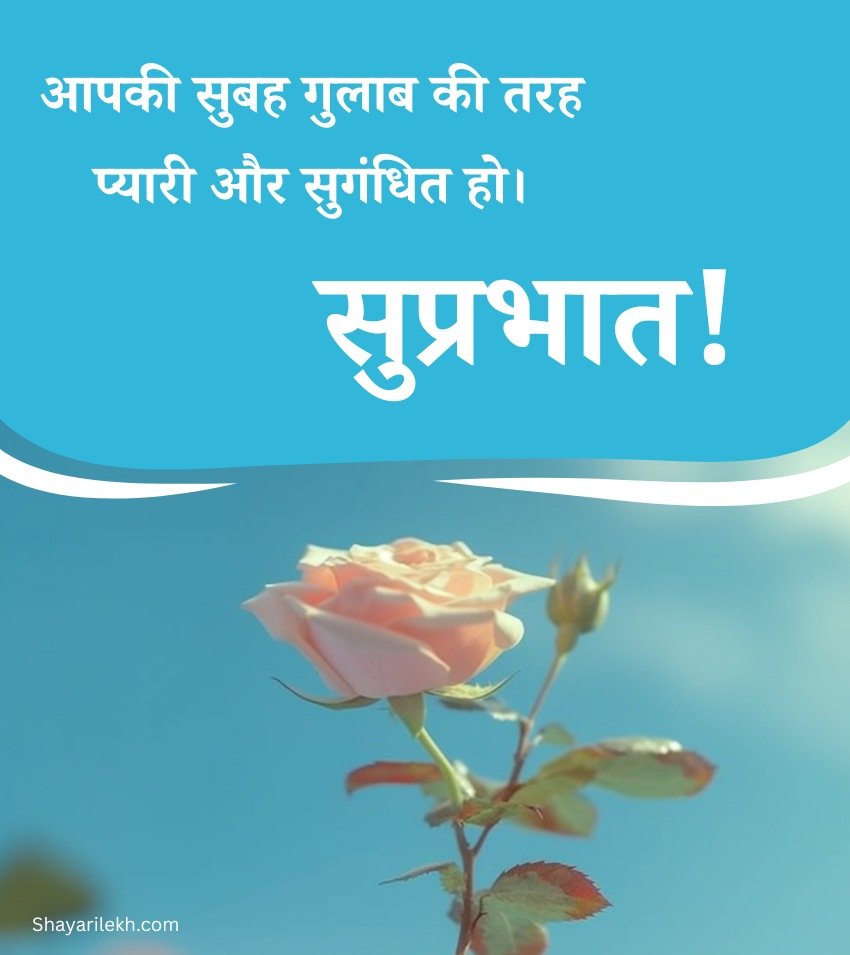 Beautiful Hindi Good Morning Roses Quotes