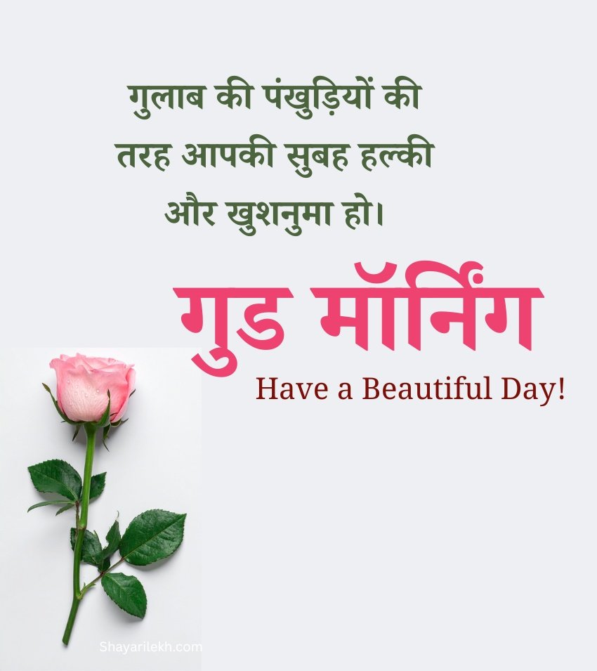 Best Morning Rose Flower Wishes In Hindi