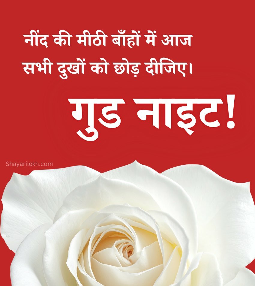 White Rose Good Night Photos Hindi