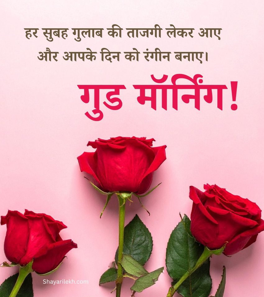 Good Morning Roses Messages In Hindi With Images for Her
