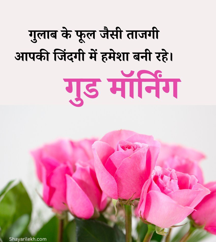 2 Lines Heart Touching Good Morning Roses Shayari In Hindi