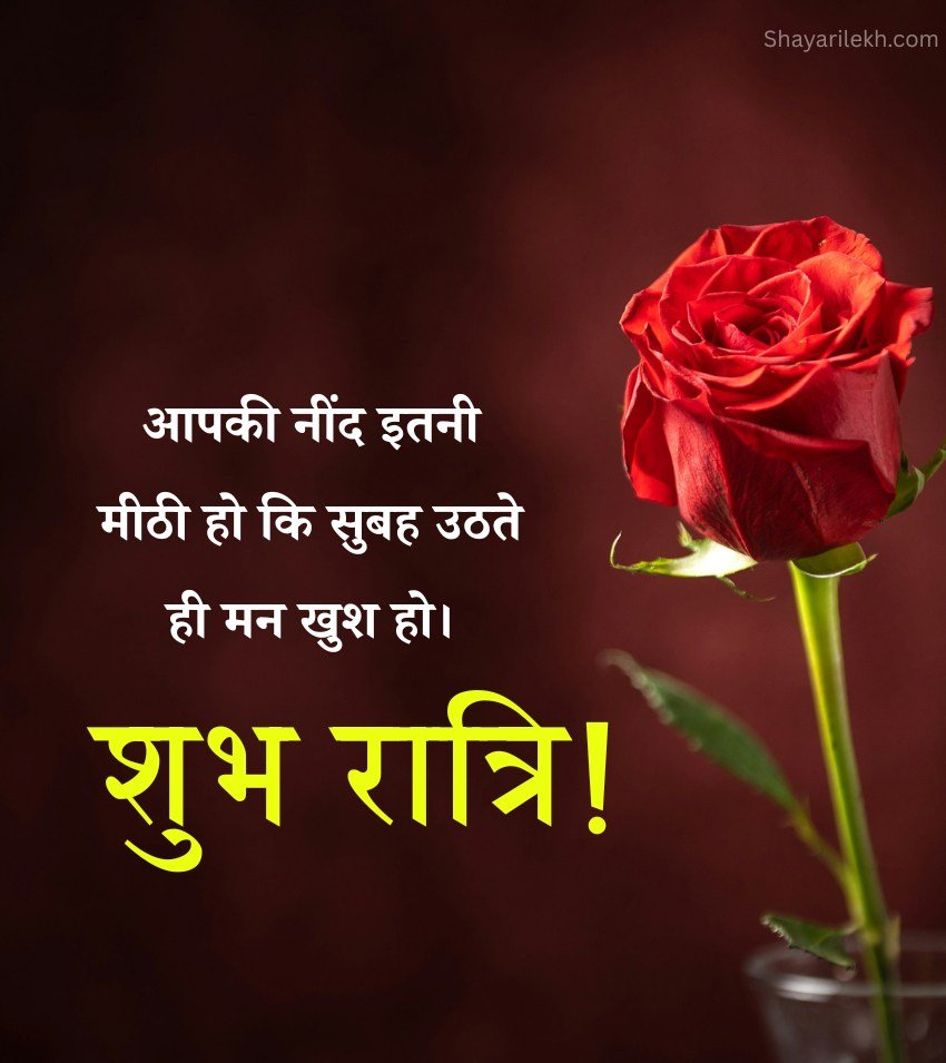 Romantic Gulab Good Night Caption Hindi