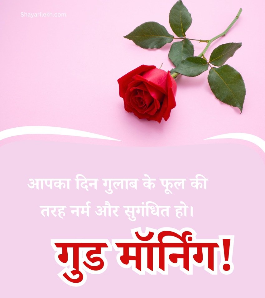 Good Morning Gulab Blessings Images Hindi