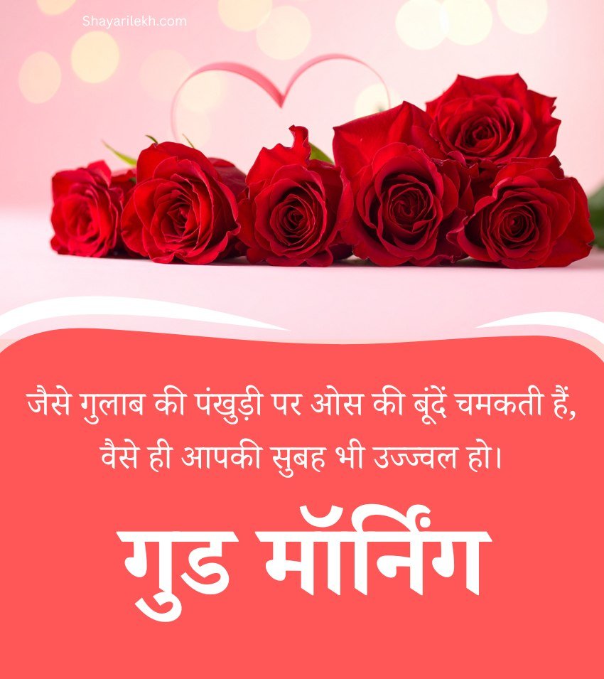 Romantic Gulab Flower Good Morning Hindi