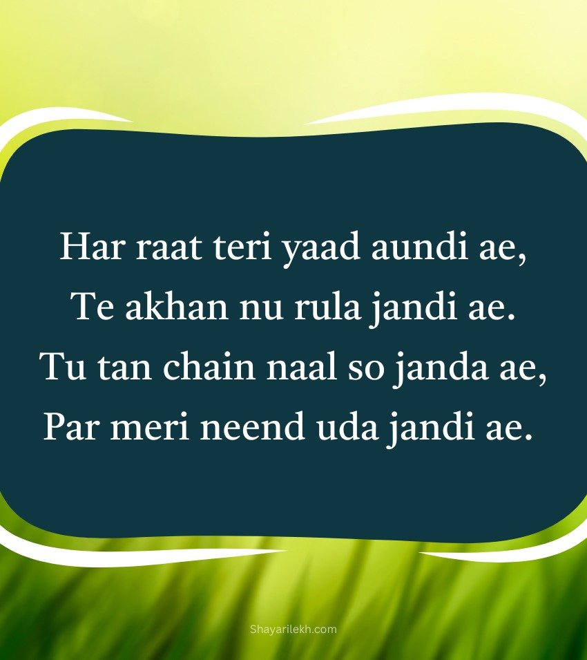 Punjabi Sad Shayari for Status