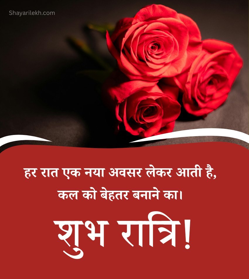 Roses With Good Night Pics For Lover In Hindi