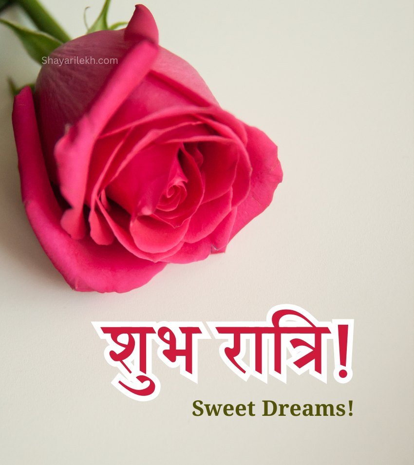 Sweet Dreams Good Night Gulab Greetings
