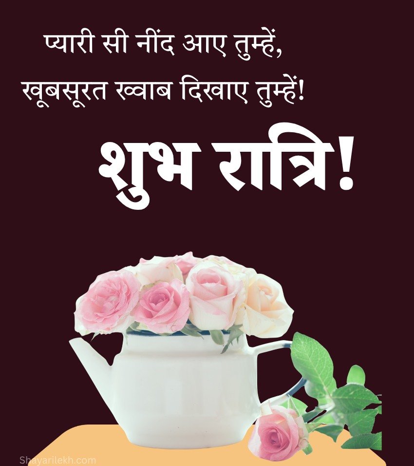 Latest Good Night Jaan Love Images With Hindi Text with Roses