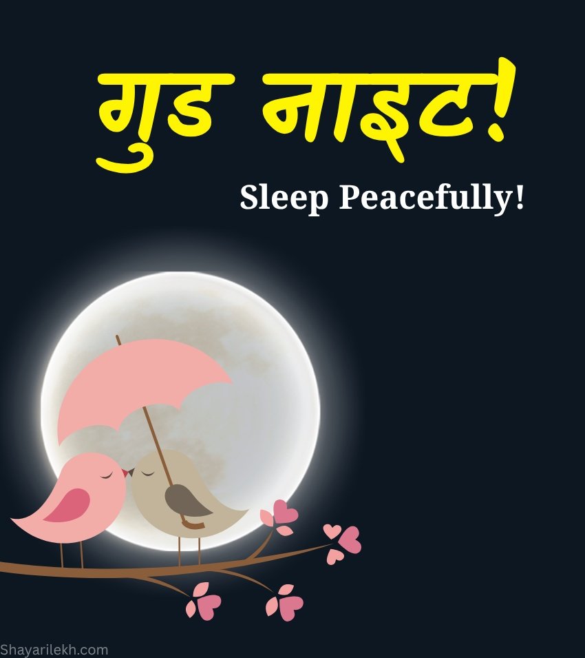 Romantic Good Night Love Images Hindi