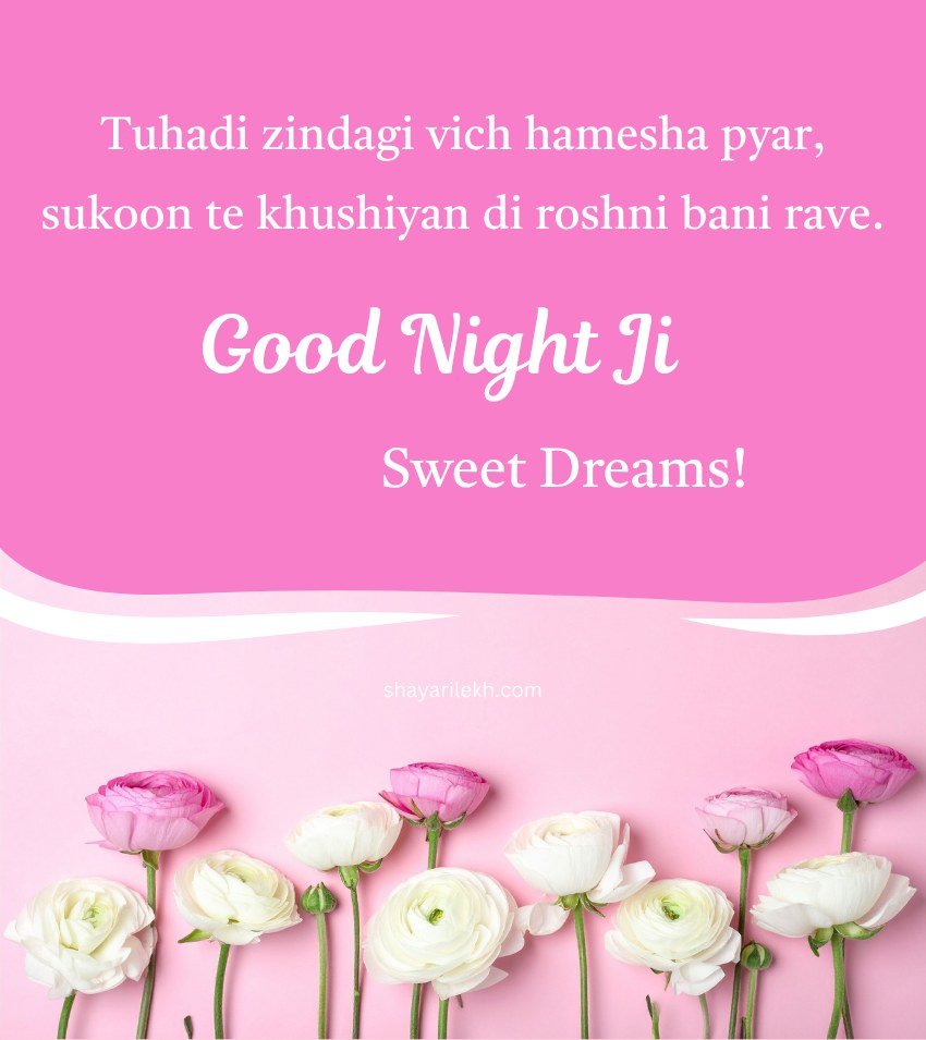 Punjabi Good Night Love Captions For Instagram