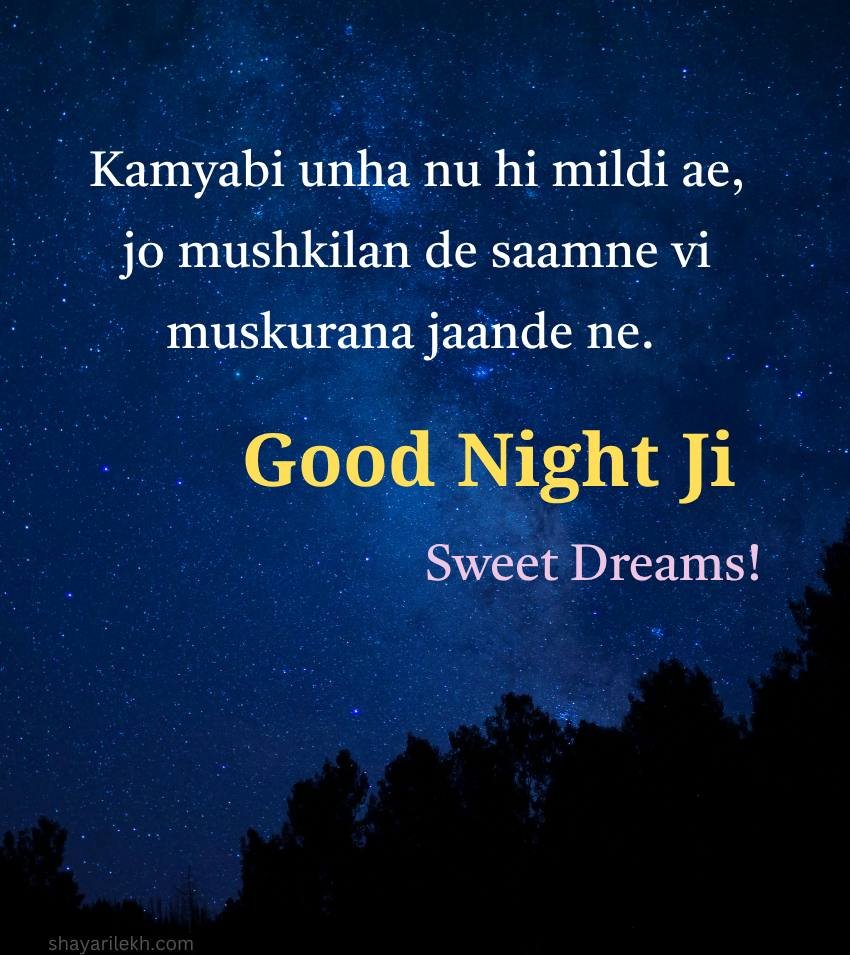 Punjabi Good Night Wishes