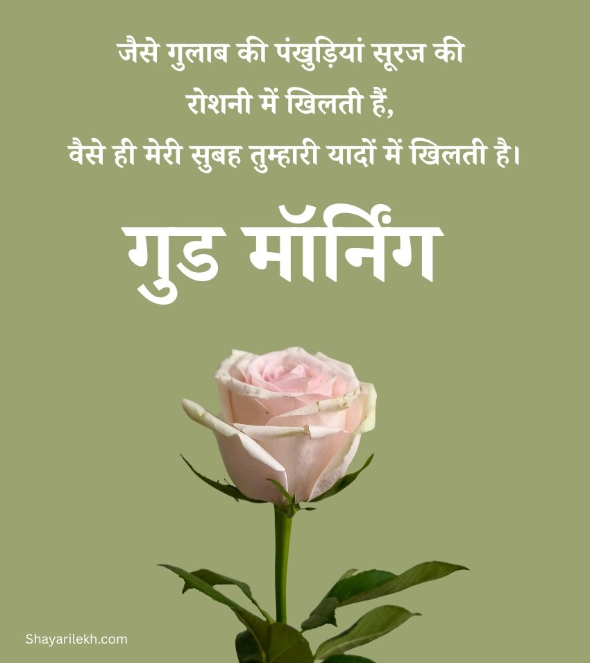 Good Morning Rose Images For Social Media Hindi