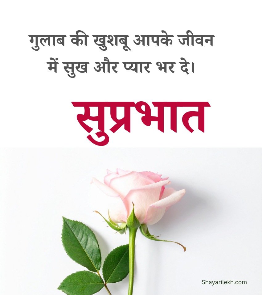 Good Morning Gulab Messages Hindi Images