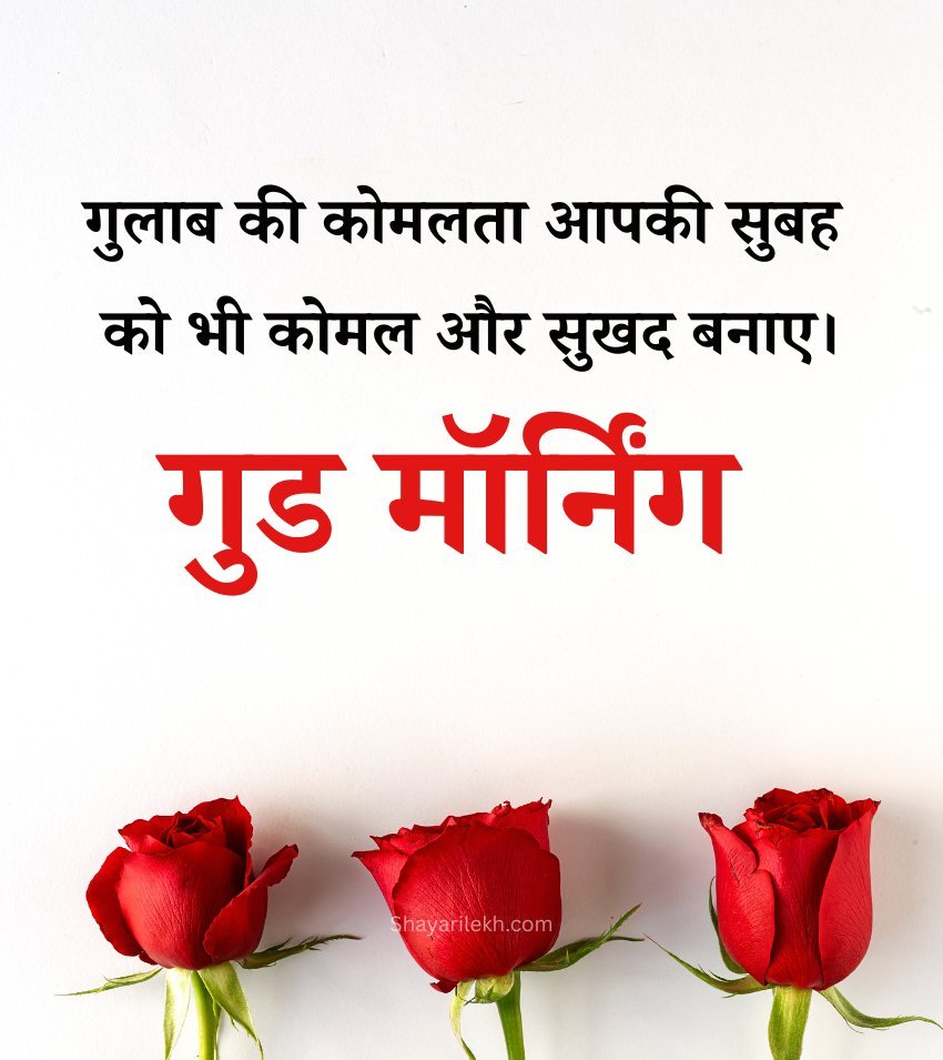 Heart Touching Good Morning Gulab Shayari Hindi