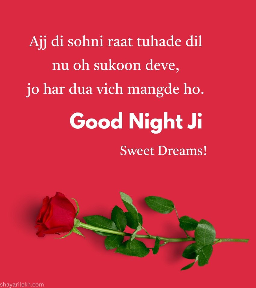 Loving Punjabi Good Night with Rose For Girlfriend