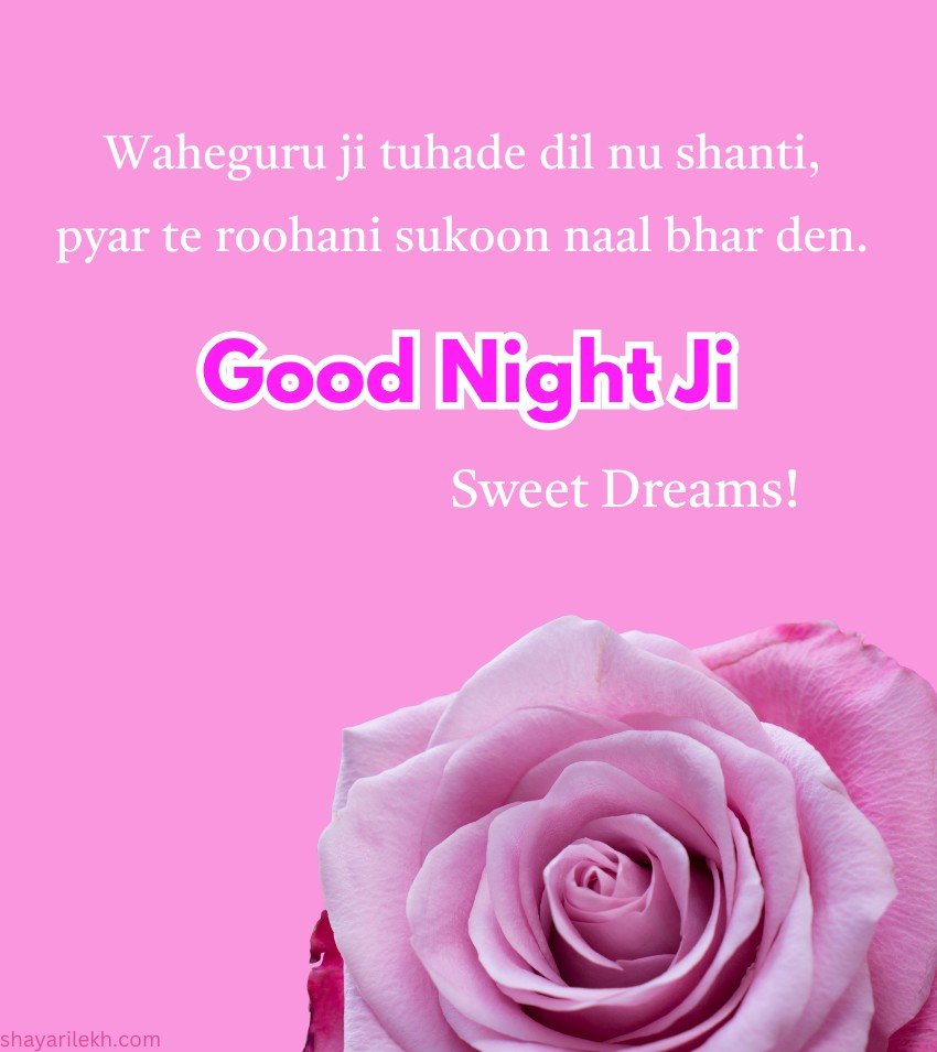 New Punjabi Romantic Good Night Quotes