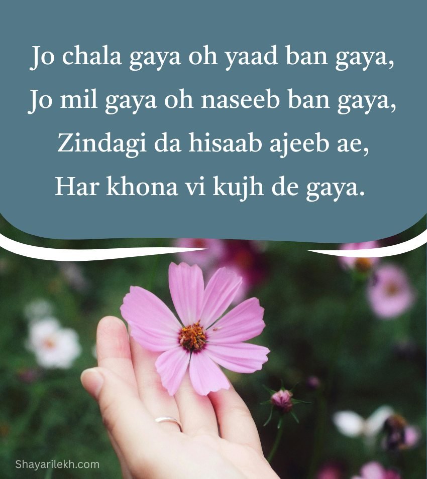 Beautiful Punjabi Zindagi Status Lines
