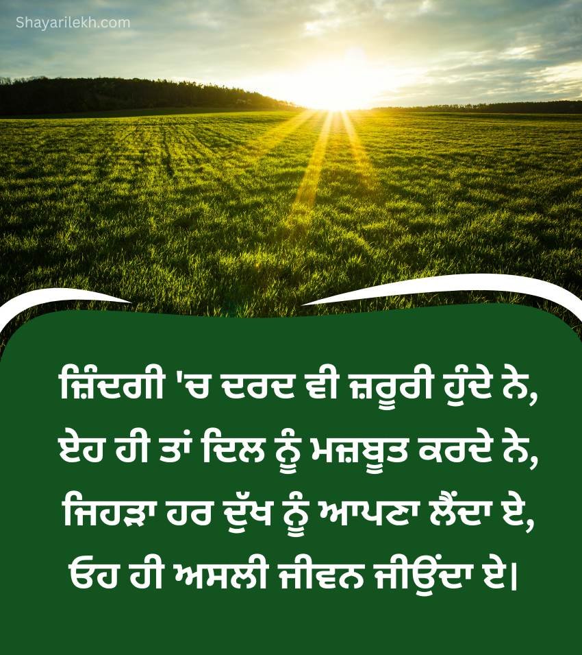 Desi Punjabi Life Quotes For Status