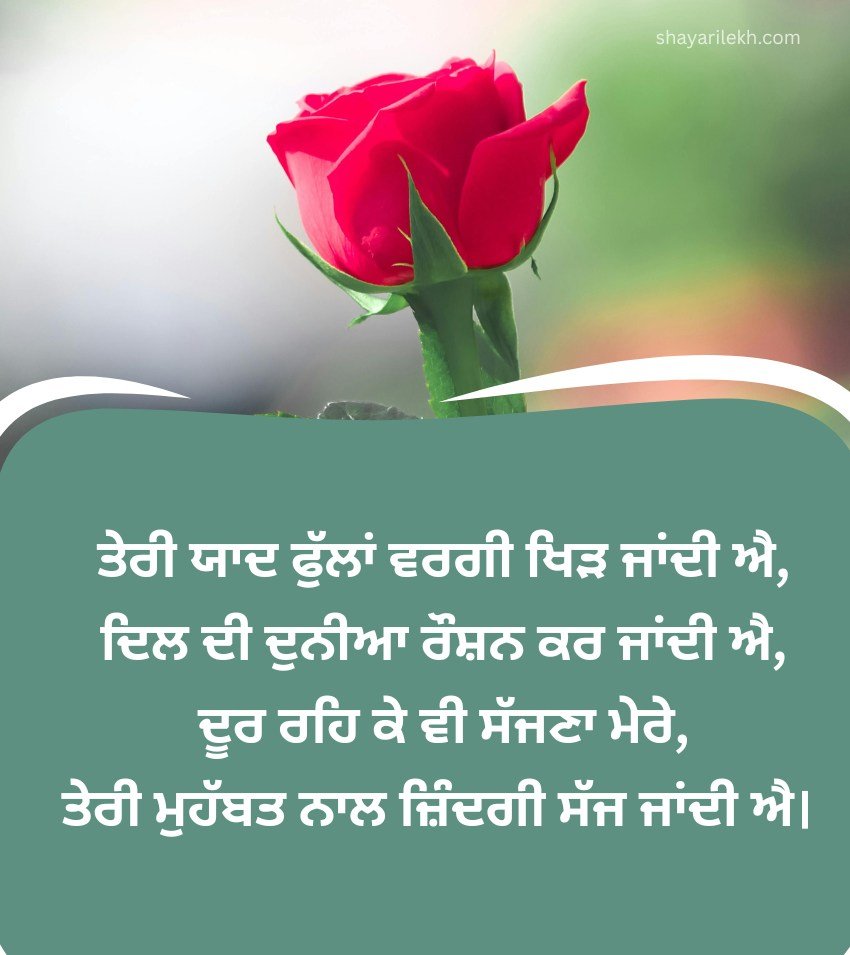 Relationship Quotes for Long Distance Lover in Punjabi
