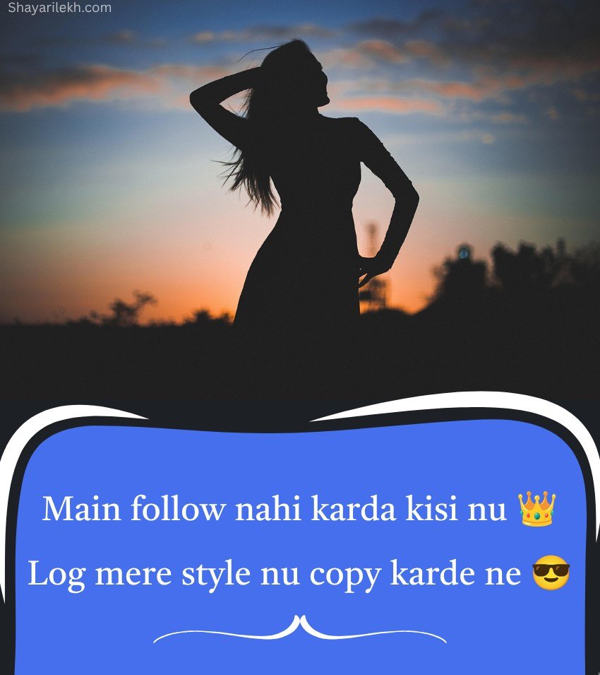 2 Lines Loving Punjabi Girl Attitude Status