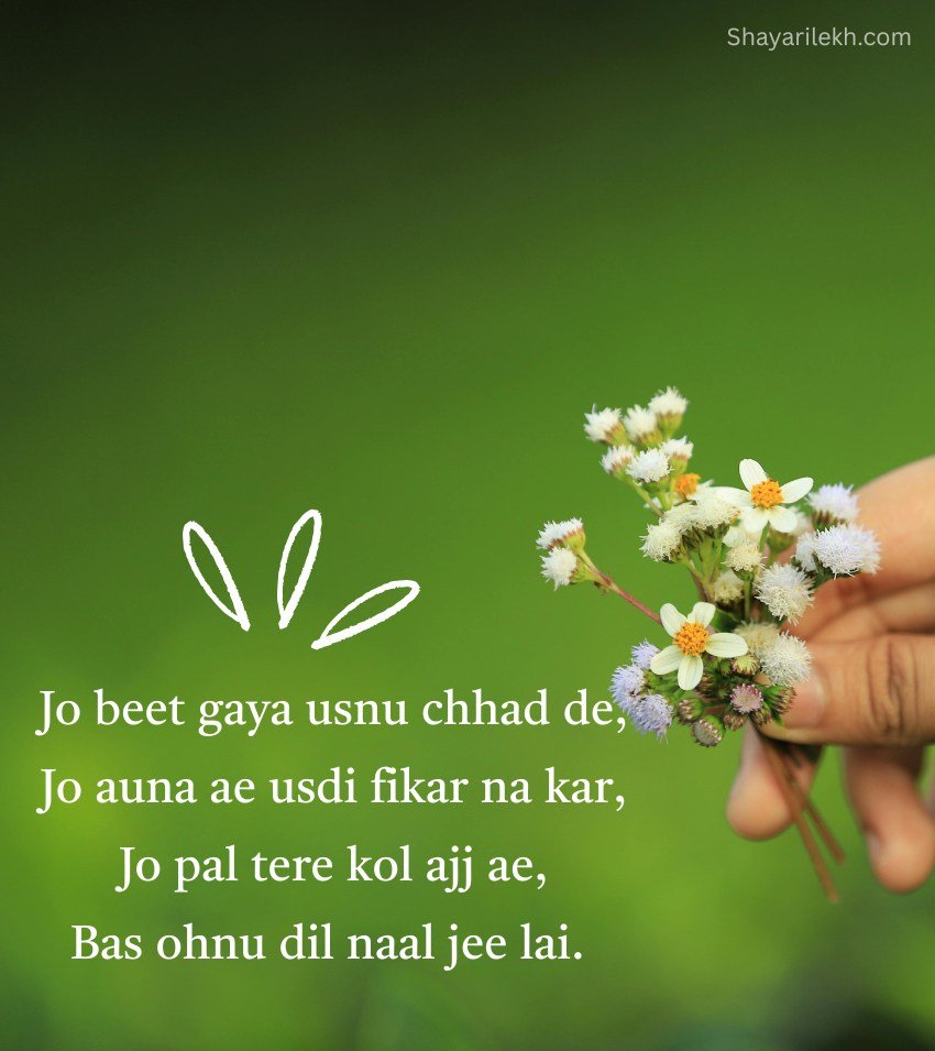 Best Beautiful Shayari On Life In Punjabi for Status