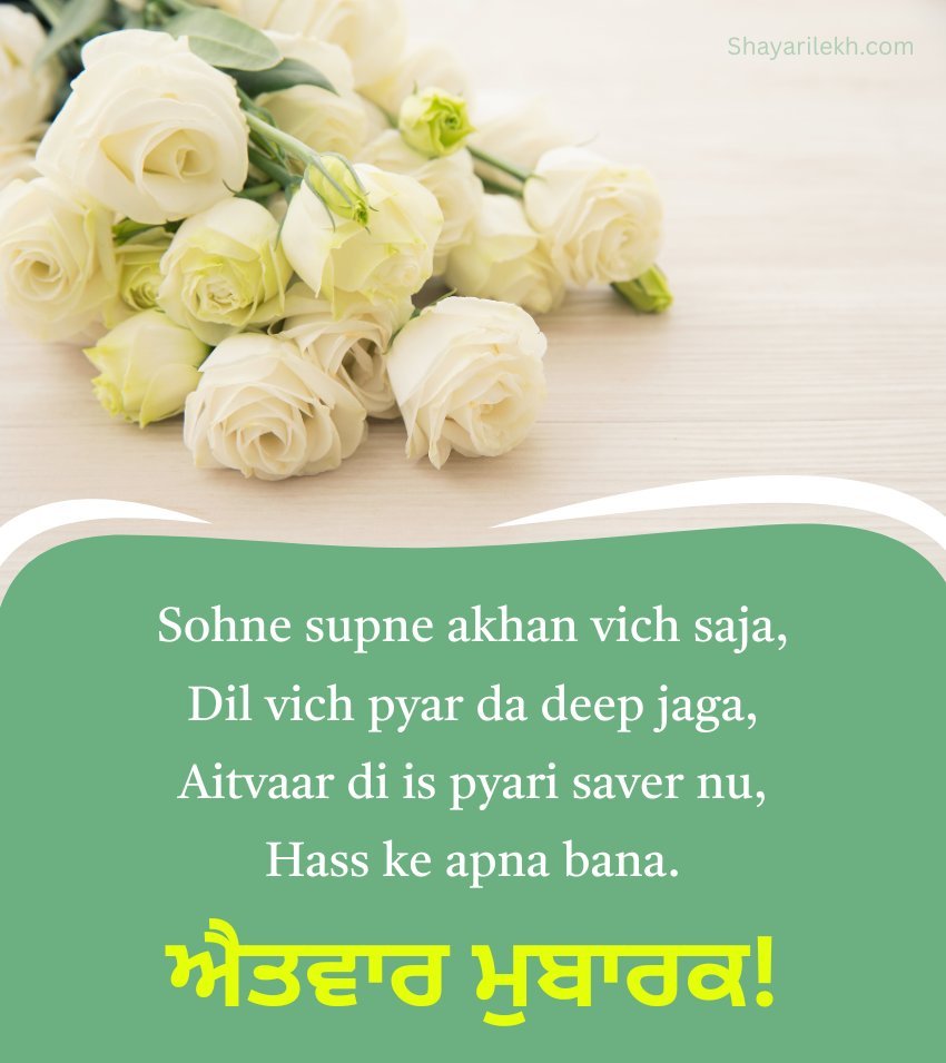 Punjabi Sunday Shayari With Rose