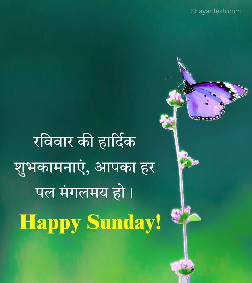 Beautiful Flowers with Happy Sunday greetings Images In Hindi