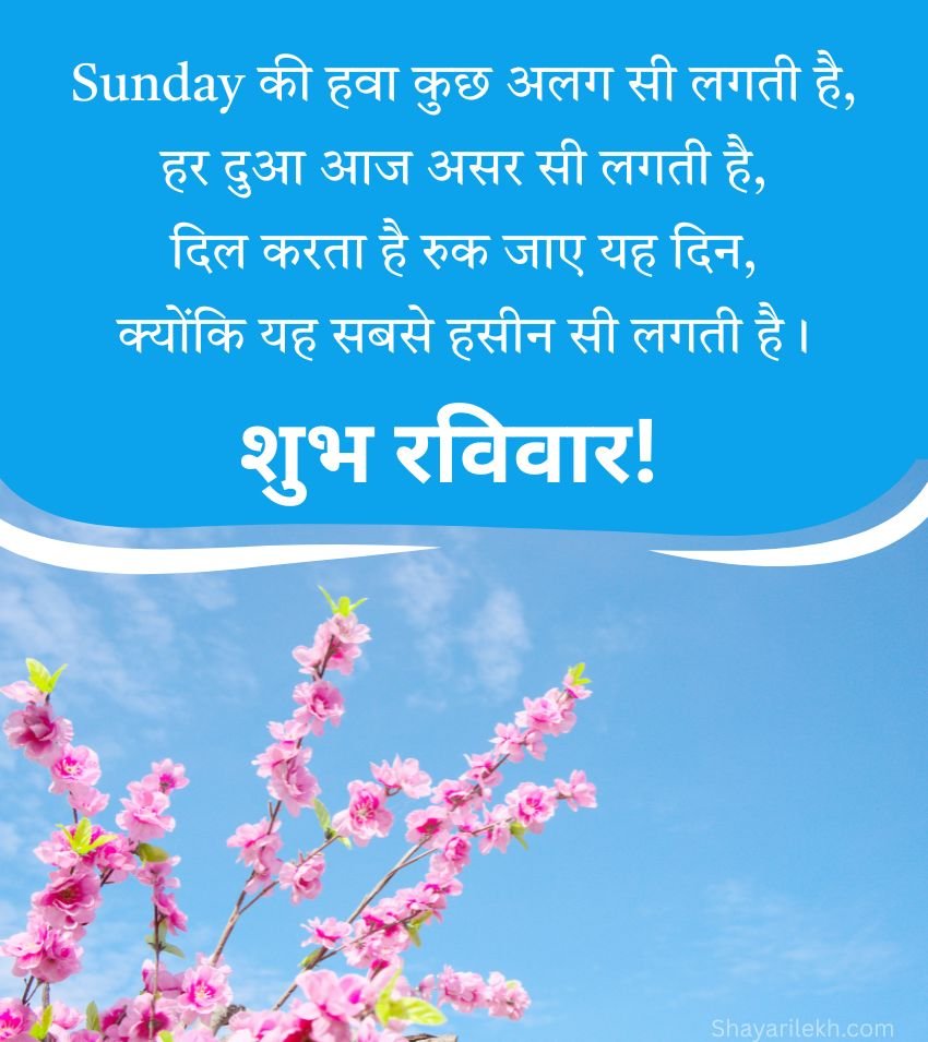 Happy Sunday Images With Success Shayari Hindi